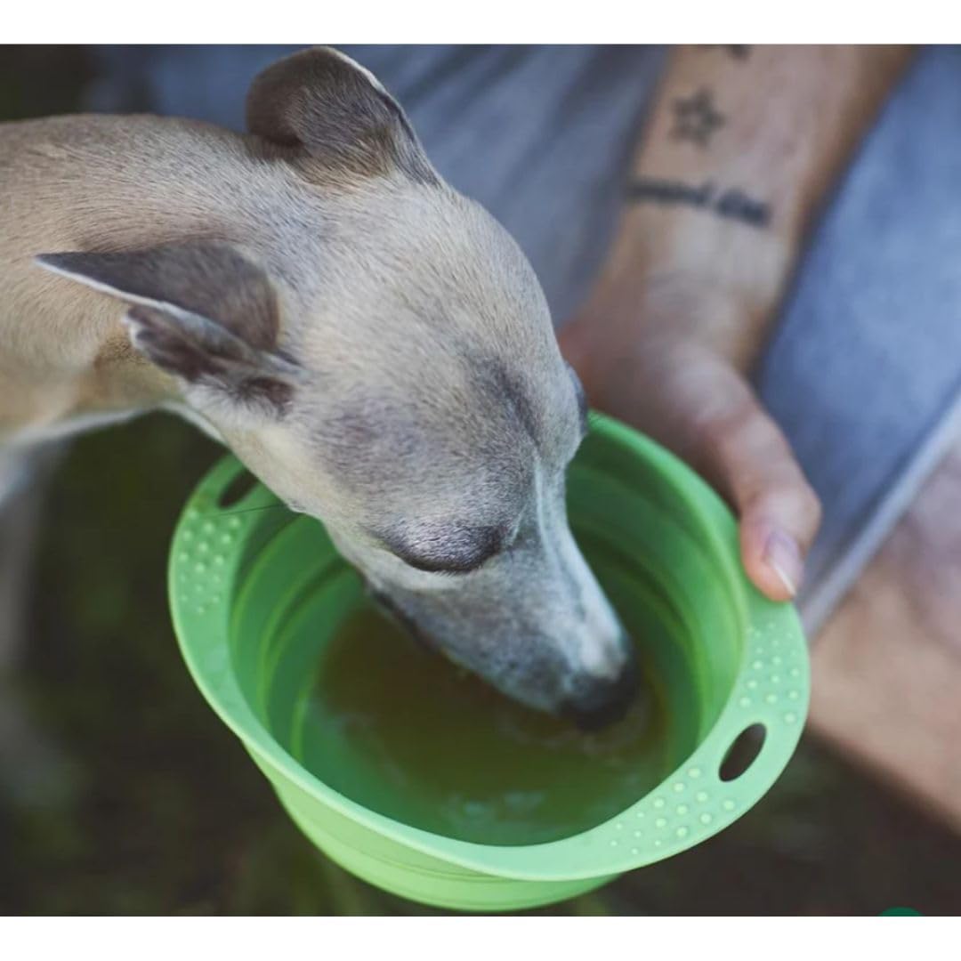 Caldo de Ternera Natural para Perros y Gatos - 5 Unidades x 270 ml - ANIMALUJOS