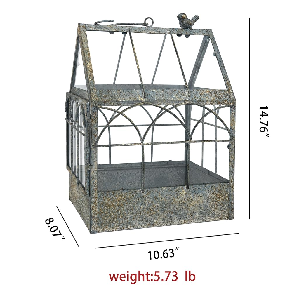 Invernadero vintage de cristal envejecido para colgar plantas grandes con tapa, maceta de mesa para interiores, caja de exhibición para orquídeas, suculentas, helechos, musgo, cactus, ventana, jardín