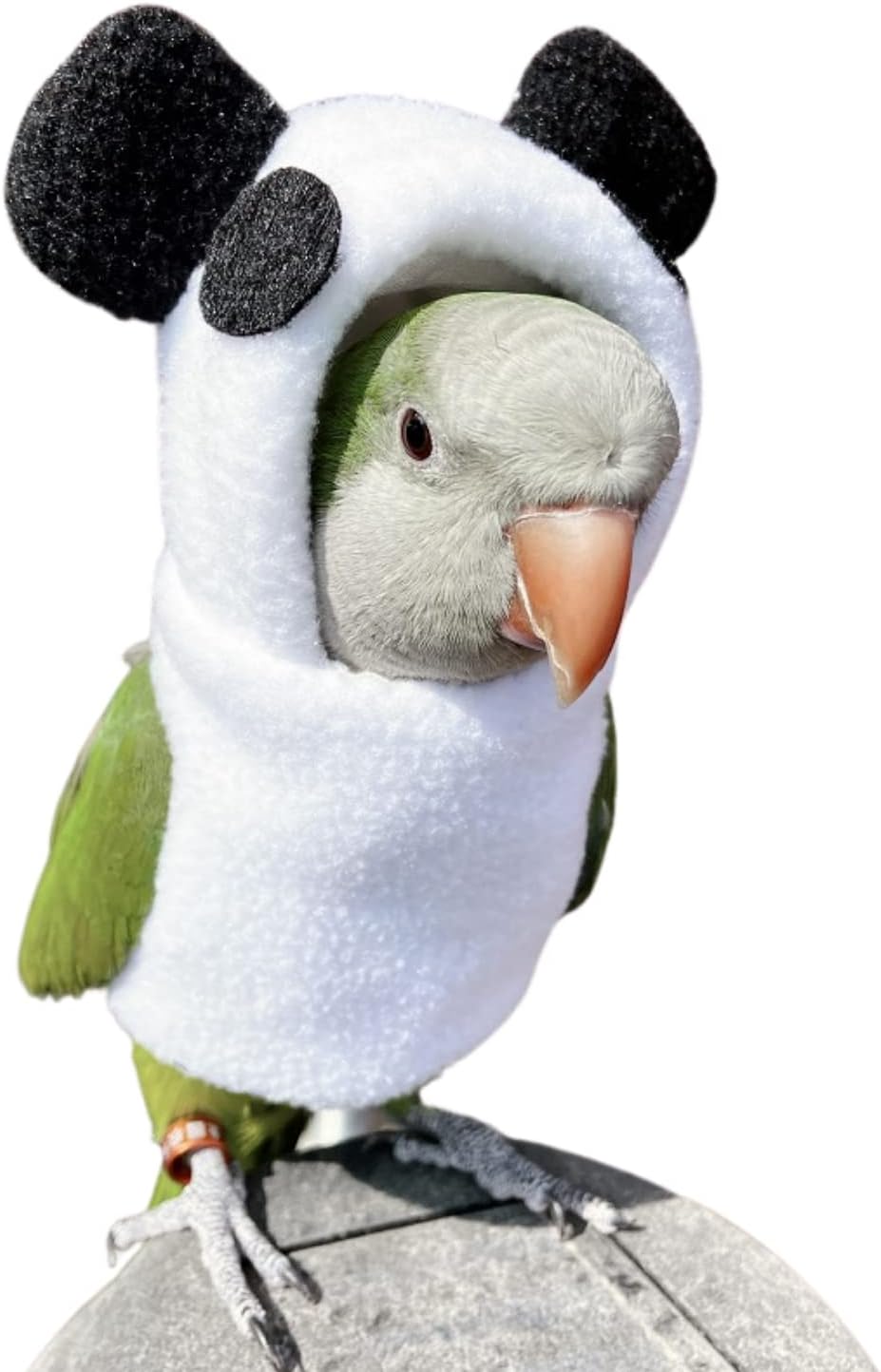 Bird Clothes - Handmade Cotton Panda Costume Hoodie Shirt Flight Suit for Parrots African Greys Parakeet Cockatiel Sun Conure Christmas Halloween Cosplay Apparel Photo Prop Bird Supplies (4XL)