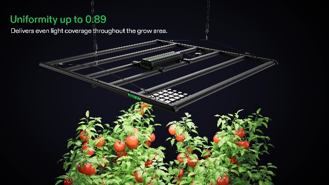 Amazon.com : VIVOSUN LumaLight 320W LED Grow Light, Full Spectrum
