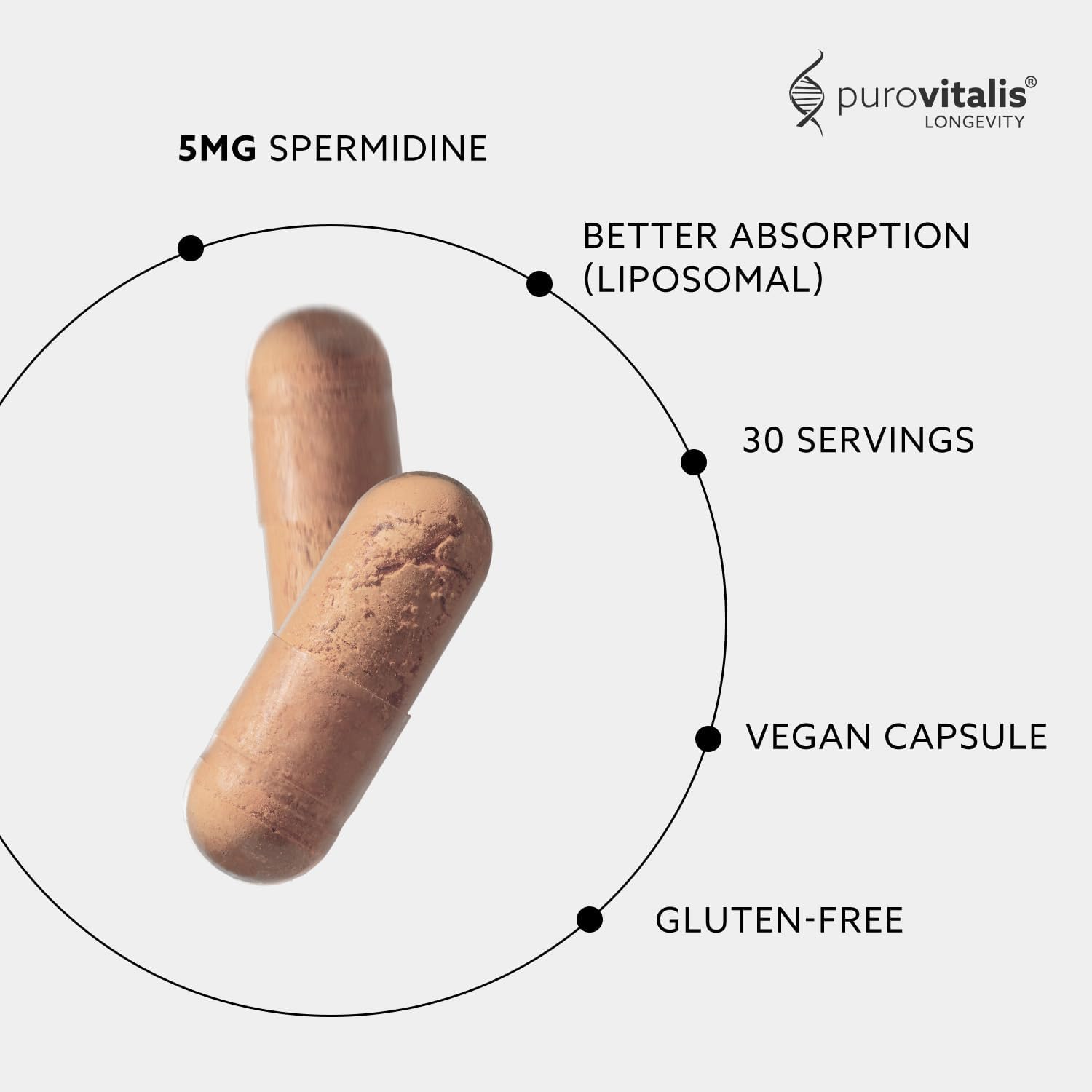 PUROVITALIS Liposomal Spermidine 5mg, Cell Renewal, 30 Servings (30 Vegan Capsules), with Zinc, Vitamin D3 & B12, Anti-ageing Supplement - Image 3