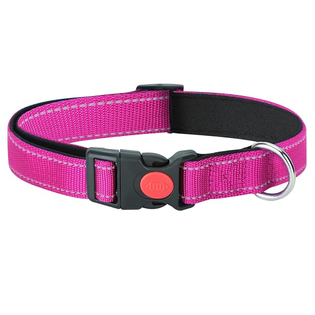 Foto 8 de 8 de Nobleza - 2× Collar Perro, Collar Nylon Reflectante Suave Acolchado para Perros, Ajustable Collar Perro…