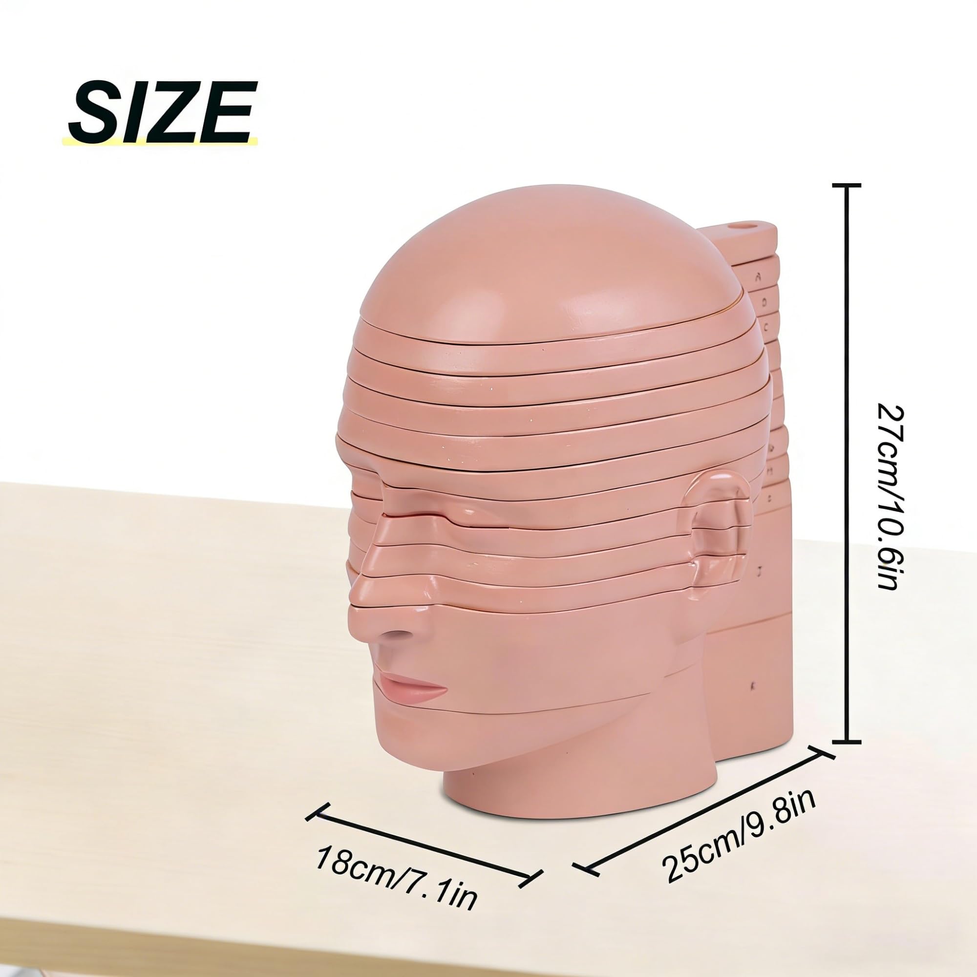 Model anatomii człowieka – 12 części ludzkiej głowy i mózgu z odłączanymi poziomymi plasterkami i wyraźnym anatomicznym etykietowaniem do użytku edukacyjnego w warunkach medycznych