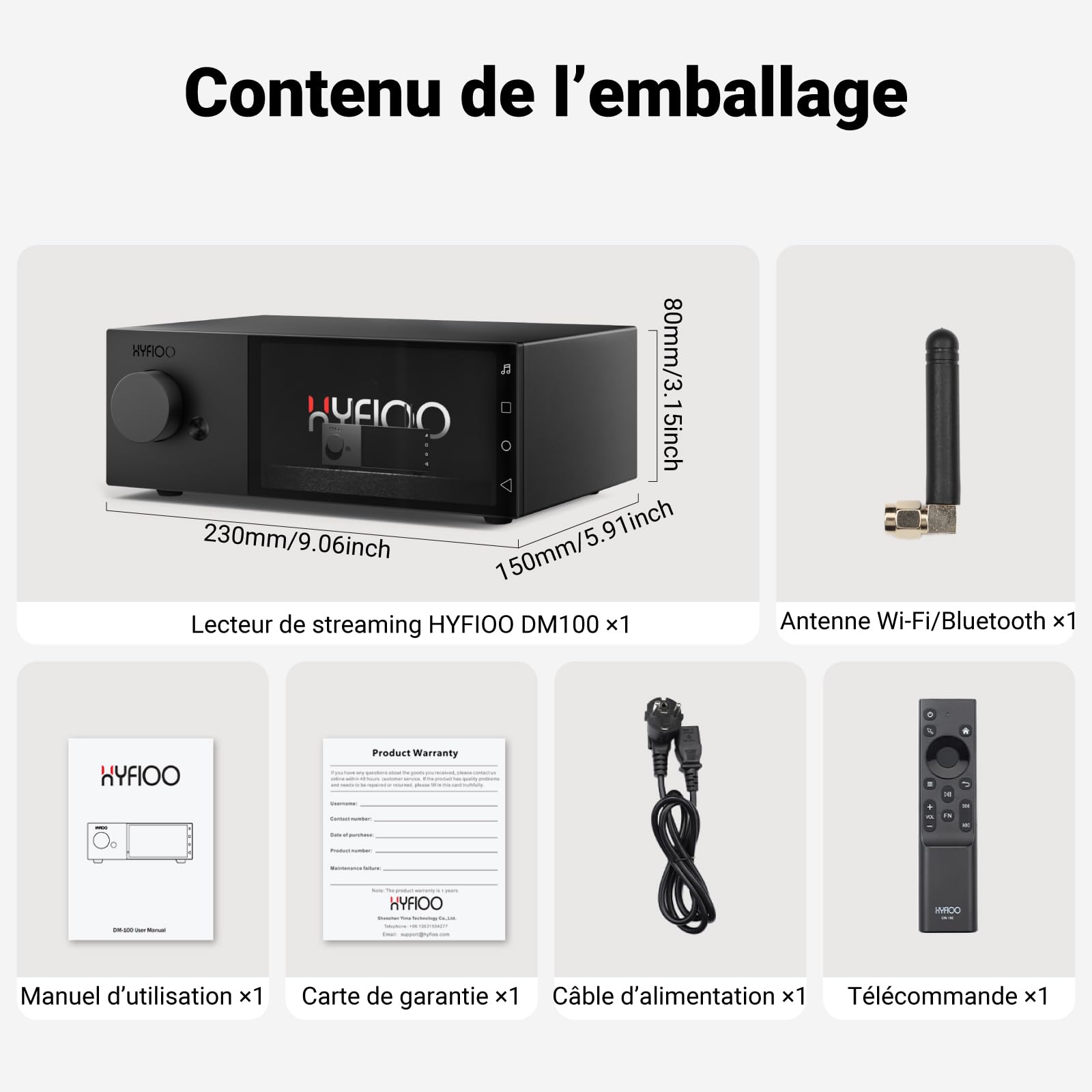 DM100 Streamer Musique HiFi Lecteur Audio Numérique Écran 5,5"