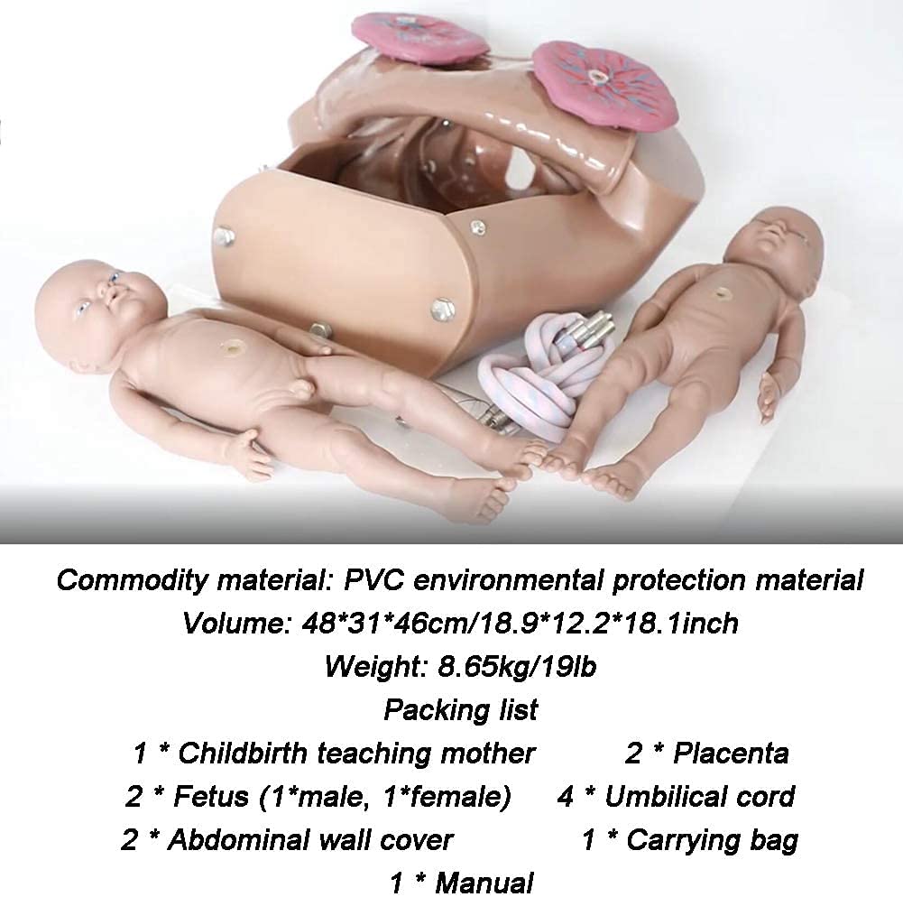 全身 教育モデル、出産シミュレーター等身大PVC出産デモンストレーション