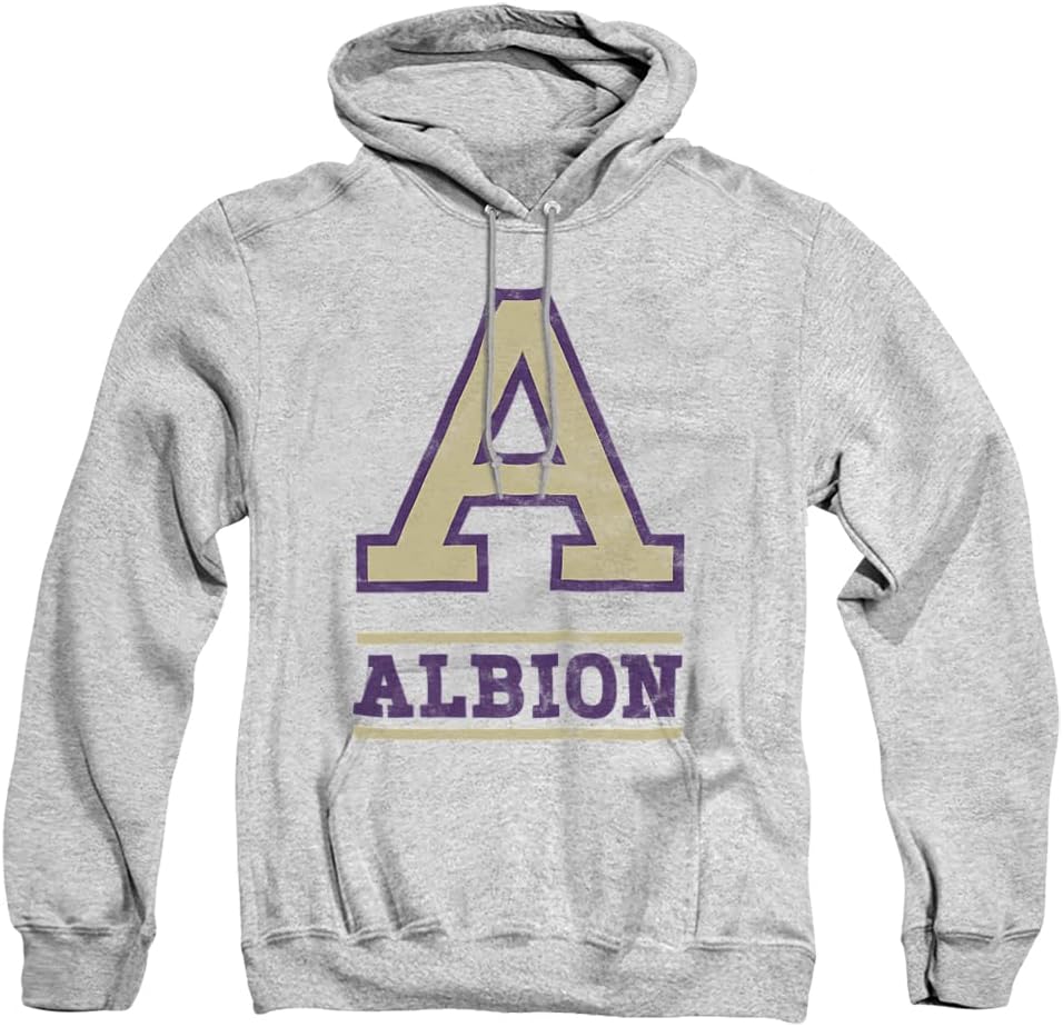 LOGOVISION Official Collegiate Distressed Primary Logo Adult Pullover Hoodie Collection
