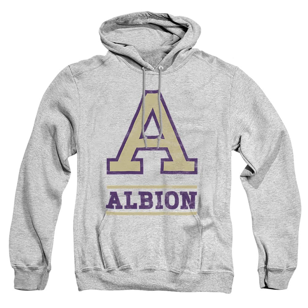 LOGOVISION Official Collegiate Distressed Primary Logo Adult Pullover Hoodie Collection — view 279
