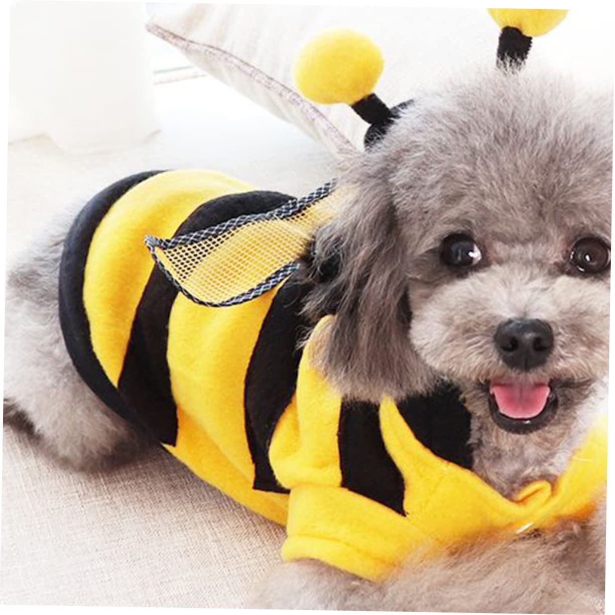 Petitebella Sweet As Honey Hundekleid – Süßes Kostüm Für Kleine Hunde, Größe S, Gelb