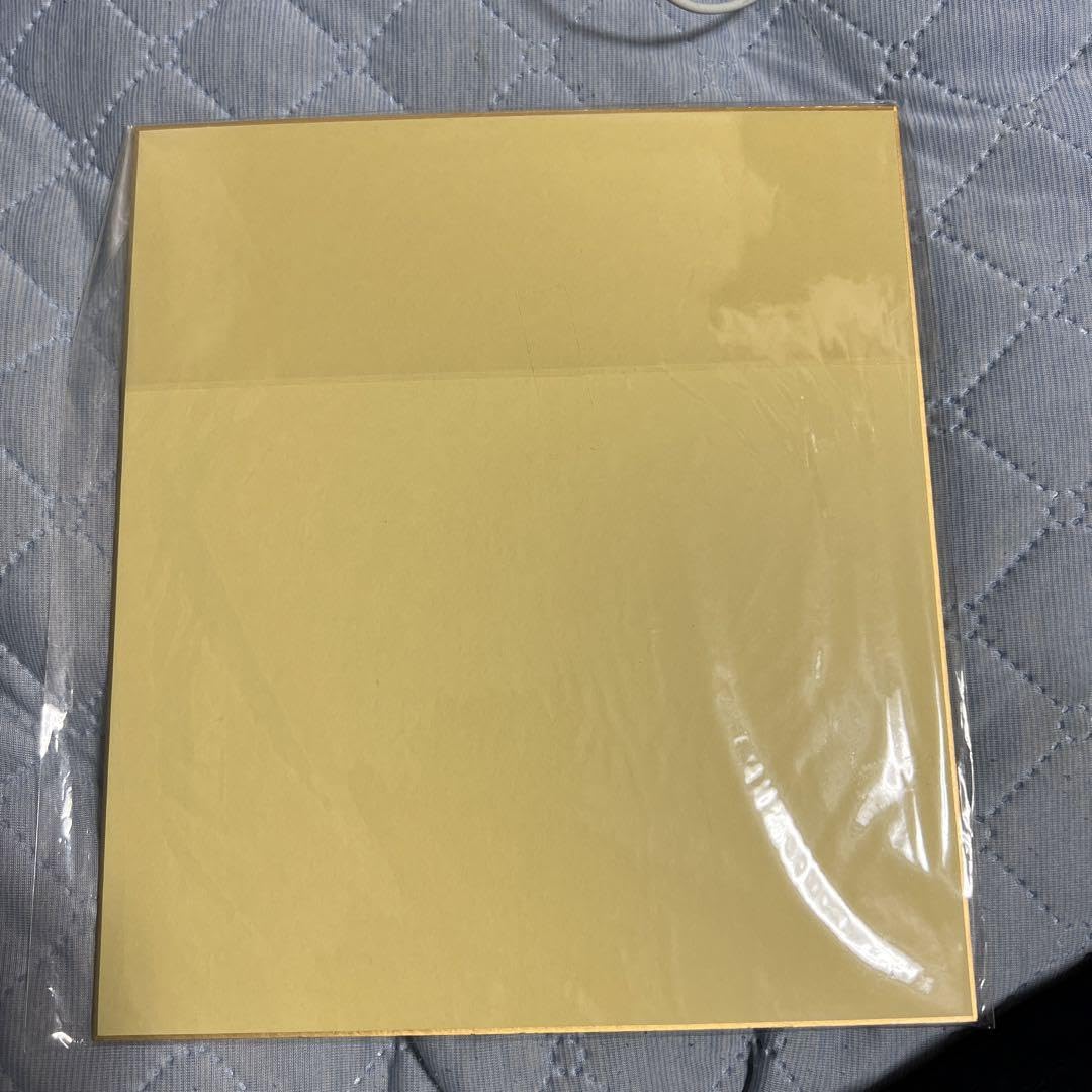 LOVE諸橋沙夏さんデビュー前の超レア生写真付直筆サイン