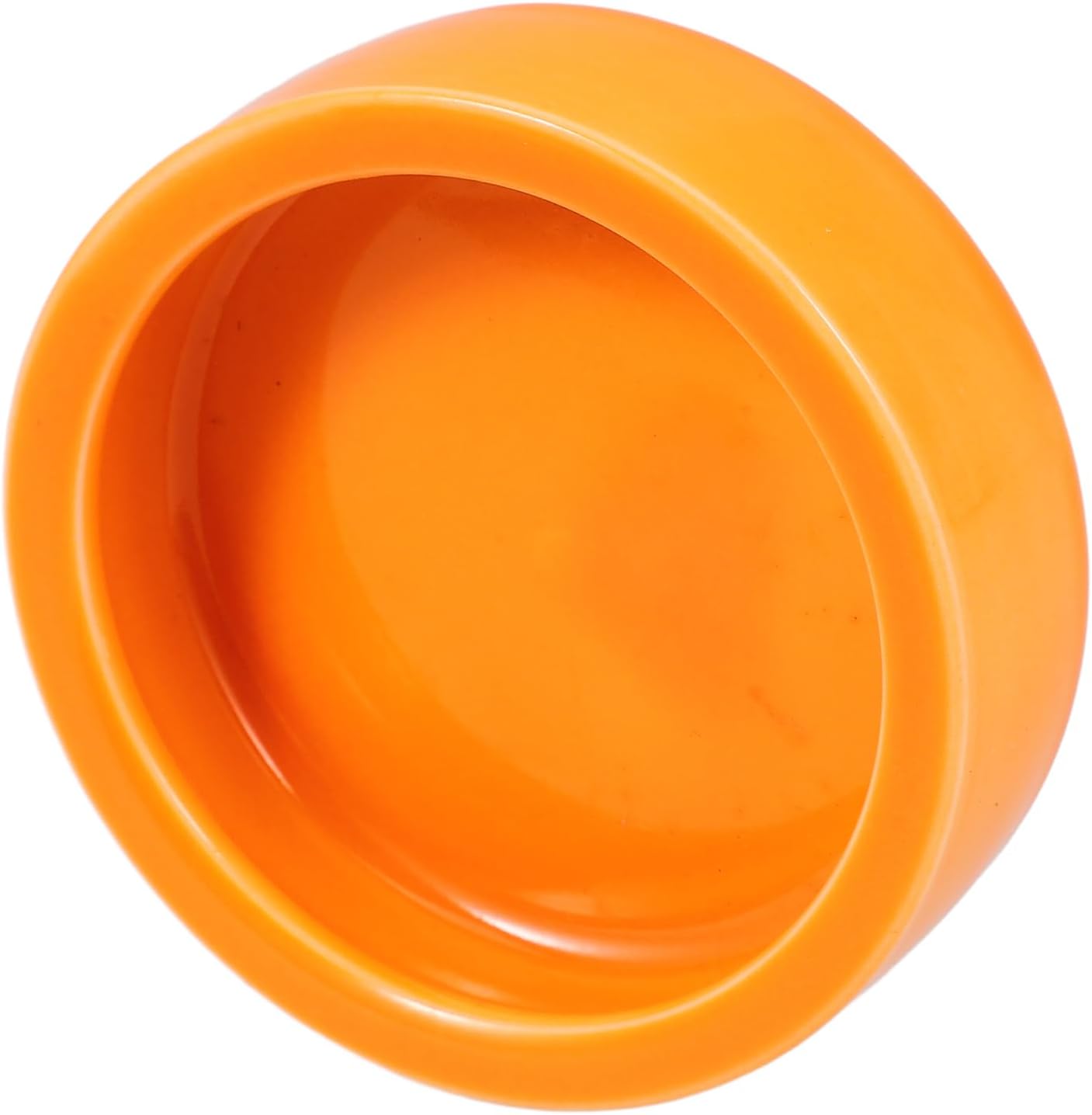 POPETPOP Reptile Food Bowl Escape Feeding Dish Shrimp Fish Crawling Pets