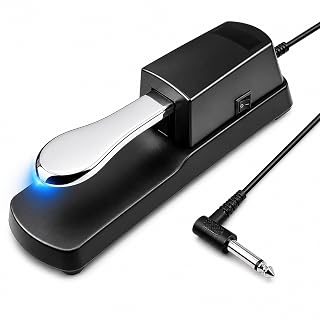 K KASONIC Sustain Pedal Universal avec Polarity Switch 1/4″ Jack - Les Beatles, Paul McCartney, John Lennon, RIngo Starr, George Harrison