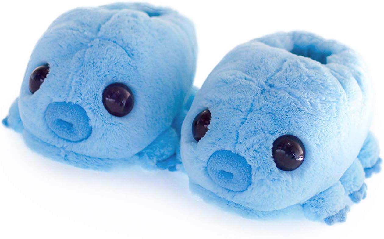 Hashtag Collectibles Water Bear (Tardigrade) Slippers Blue