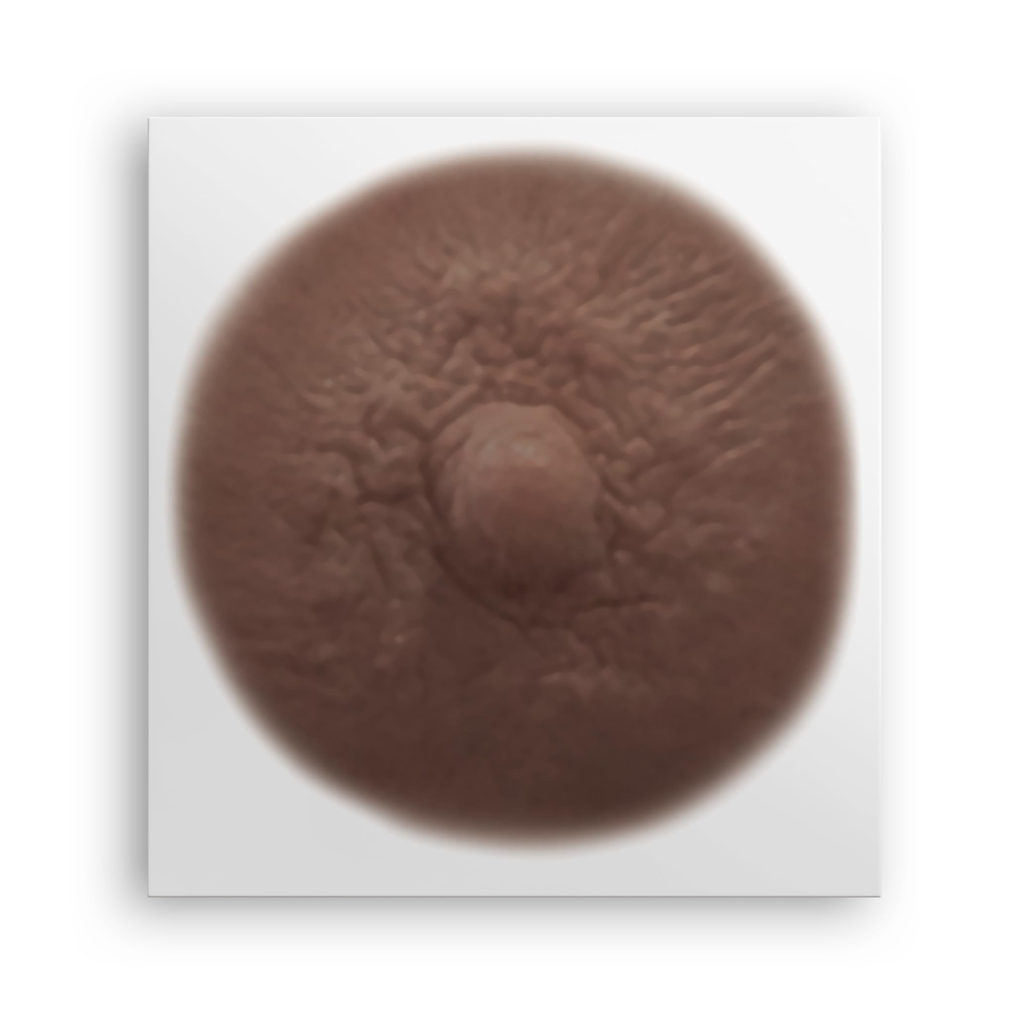 TataTattoos Temporary Realistic Nipple/Areola Tattoo (Sienna, Medium (Pack of 10))