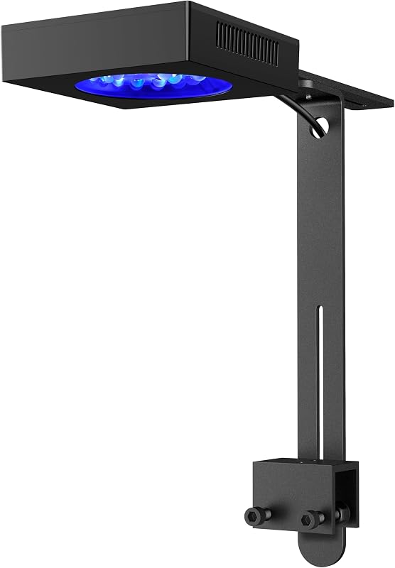 NICREW NavaReef 65 Luz LED de arrecife, iluminación de acuario de arrecife de 65 W para corales suaves/LPS y tanques de peces de agua salada, temporizador incorporado, espectro enfocado en azul