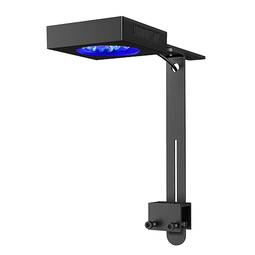 NICREW NavaReef 65 Reef LED Light, 65W Reef Aquarium Lighting for Soft/LPS Corals and Saltwater Fish Tanks, Built-in Timer, Blue Focused Spectrum