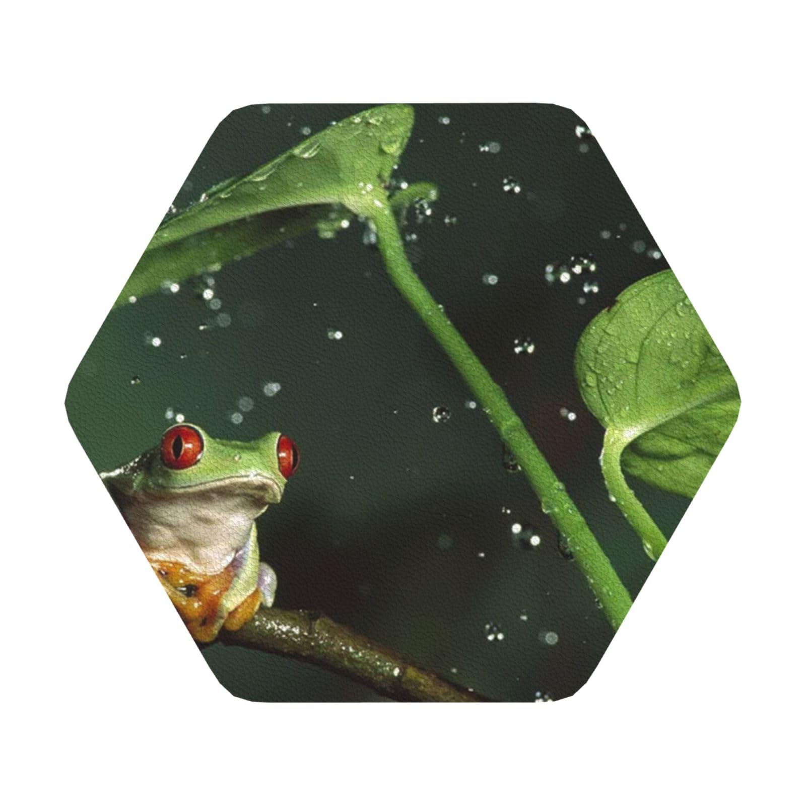 Peace Tree Frog PU Leather Coasters Set of 6 Hexagon Drink Coasters