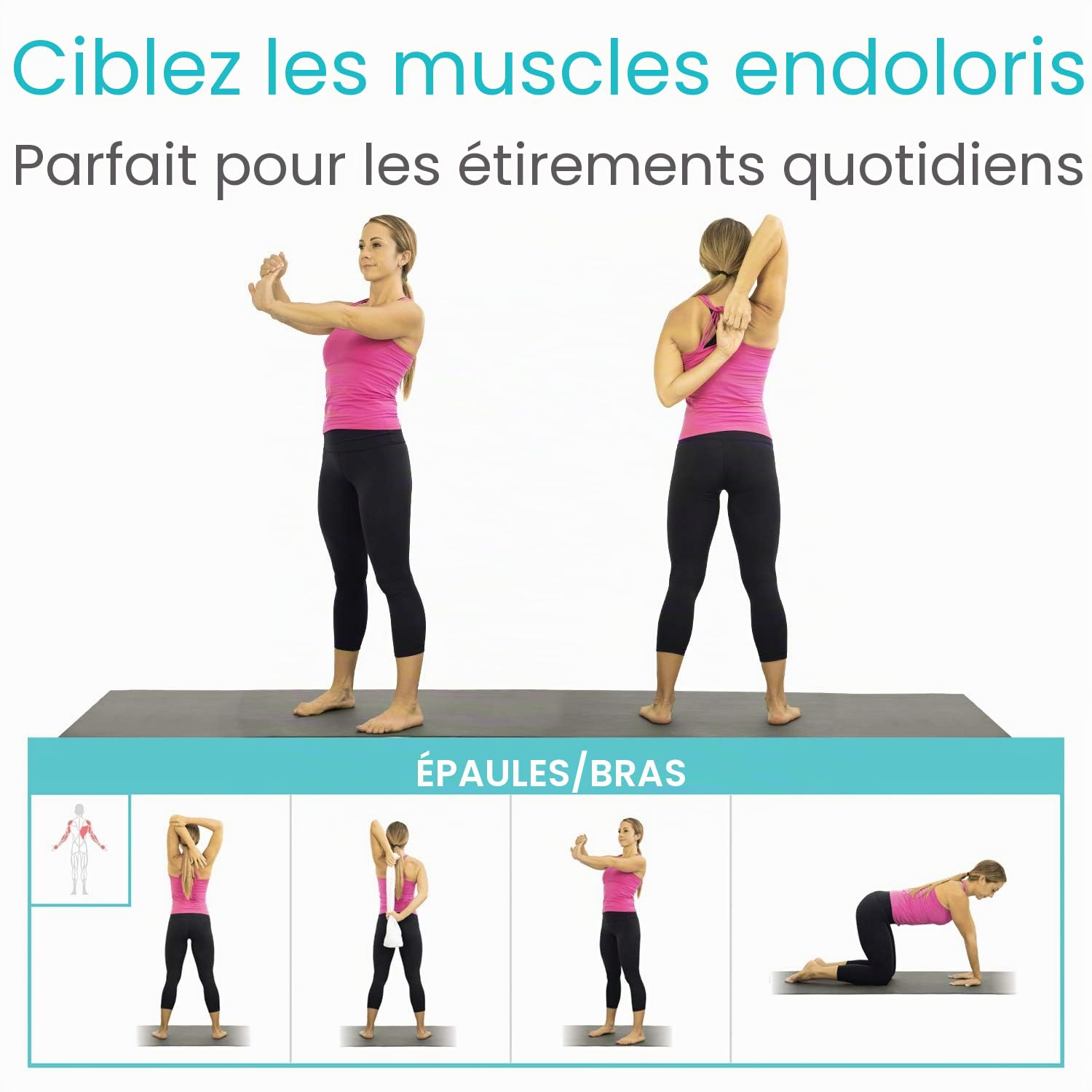 Vive Poster d'exercices d'étirement – Entraînement extensible pour la rééducation, la gym, la maison – Guide d'instructions de base pour le fitness et le poids du corps – 52 exercices pré-postérieurs