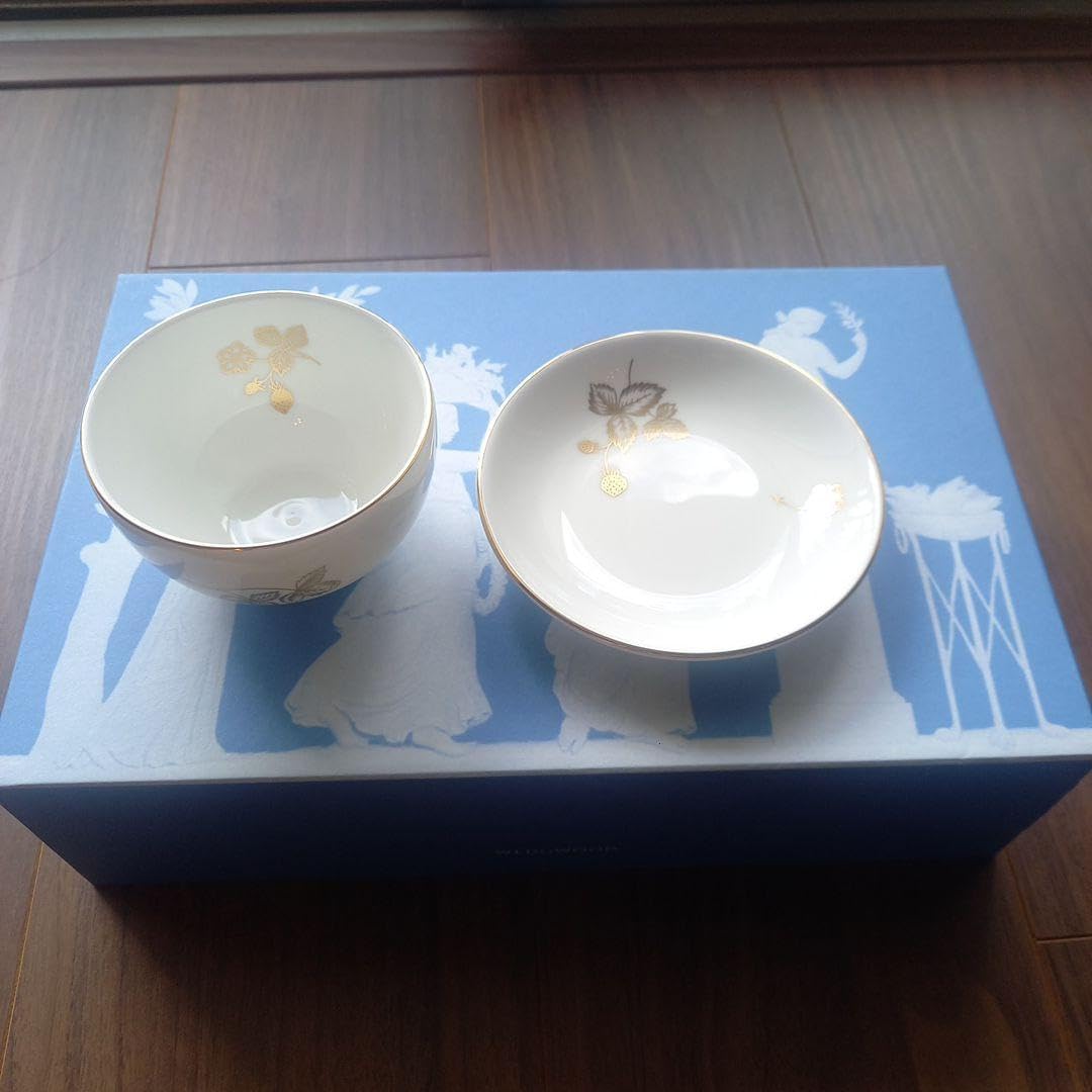 鳥山明 BIOSPHERE バイオスフィア &ぐるぐるふしぎ実験 & シール2枚