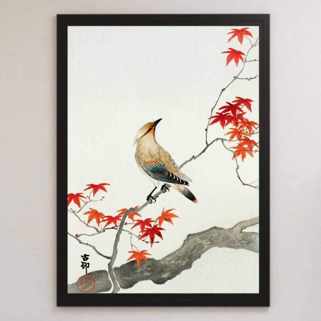 Amazon.co.jp: 小原古邨『楓に鳥』浮世絵 アート 光沢 ポスター A3