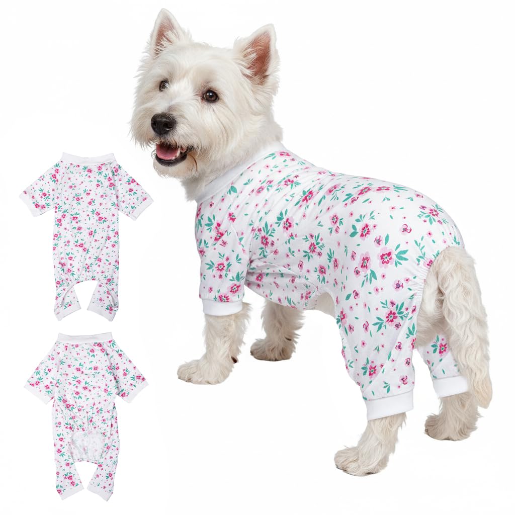 Pyjama en coton pour chiens pour des nuits paisibles et soirées cocooning