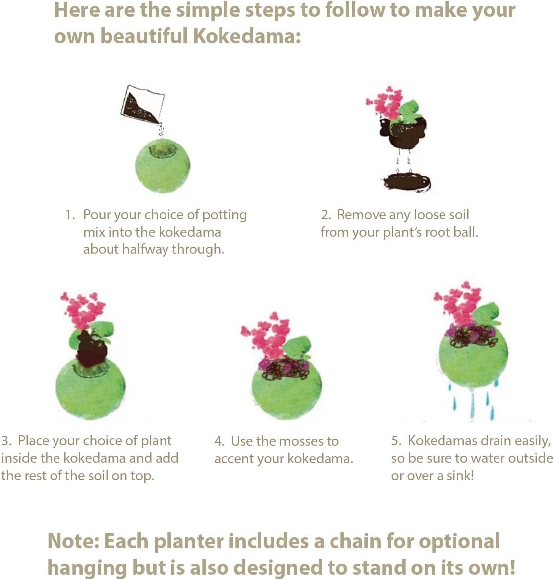 SuperMoss (29348) Kokedama Planter, 6", Fresh Green