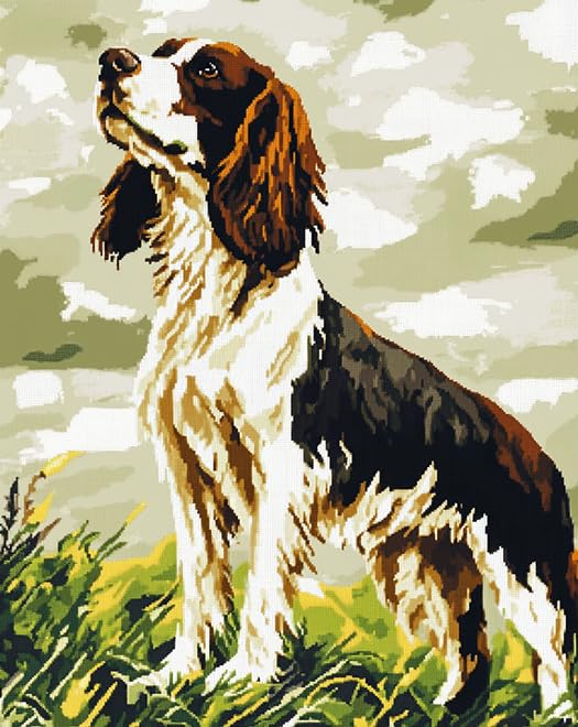 YarnAdventures Animal Dog DIY 11CT Stamped Cross Stitch Kits for Beginners,Springer Spaniel,Easy Needlepoint Embroidery Cross Stitch Art Craft for Wall Decoration,40x50cm