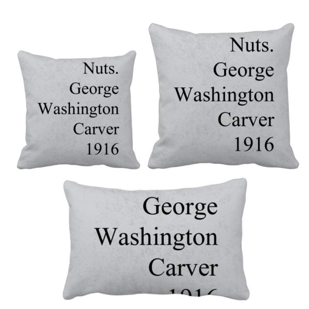 Coussin George Washington Carver ensemble avec insert pour decor de sofa