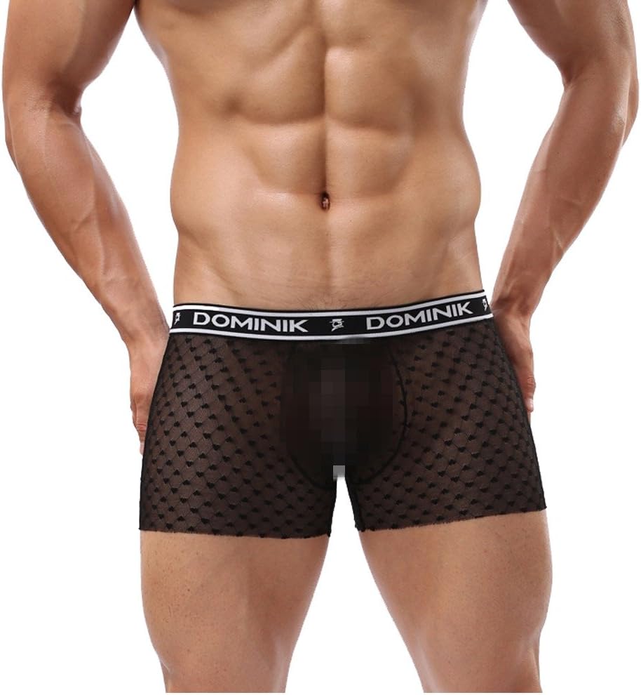 Dominik Sheer Mesh See-Through Boxer Trunks, Mens, Black Colour (4123)