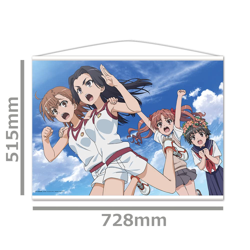 Amazon.co.jp: とある科学の超電磁砲T B2タペストリー B 美琴 & 光子