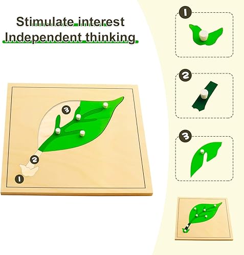 Miniatura 3 de Juguetes de aprendizaje preescolar temprano del rompecabezas de la hoja de los materiales de la naturaleza para los niños y niños pequeños de 3 a 12
