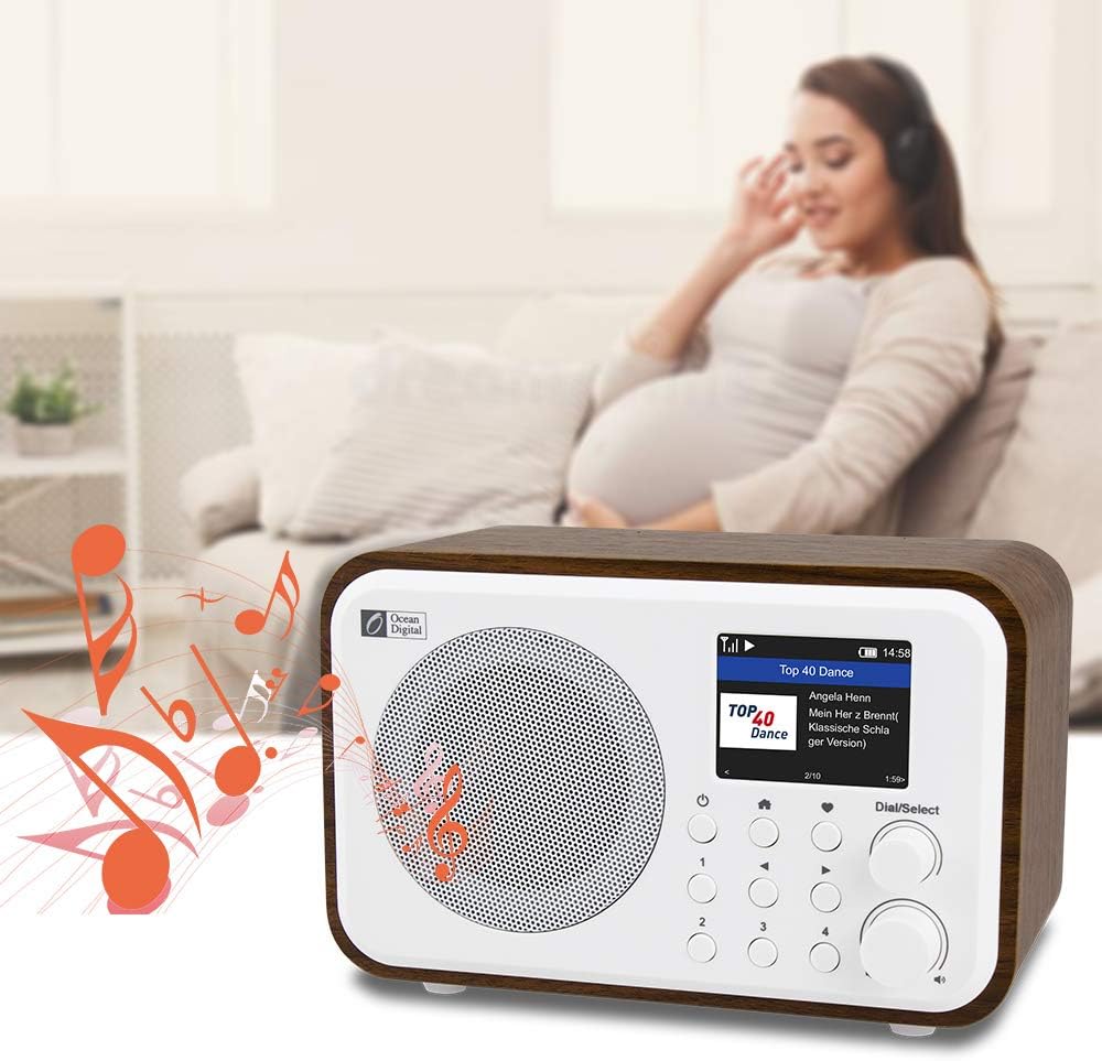Ocean Digital WiFi Internet Radios WR-336N Portable Digital Radio with Rechargeable Battery Bluetooth Receiver with 2.4” Color Display, 4 Preset Buttons, Support UPnP & DLNA-White : Electronics