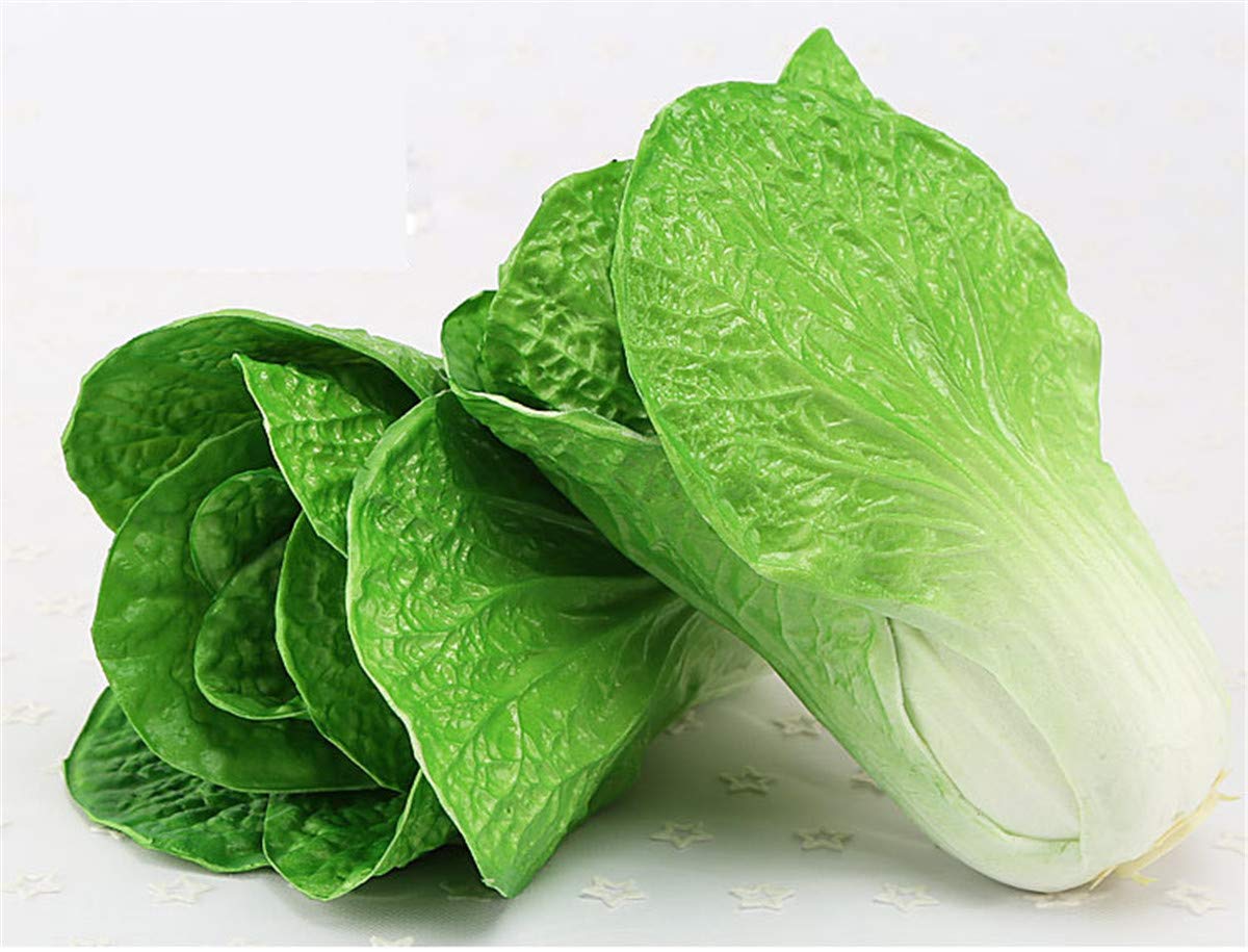 Zzooi Artificial High Simulation Chinese Cabbage Fake Celery Cabbage for Home Decor