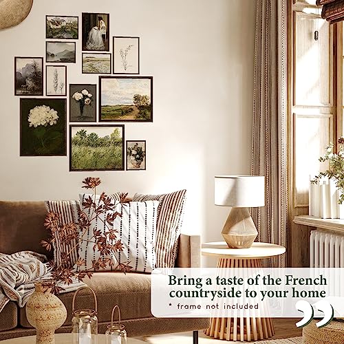 97 Decor Vintage Wall Art Prints - Vintage Posters For Room Aesthetic, Moody Vintage Prints For Wall Decor, French Country Botanical Paintings, Cozy Cottage Gallery Prints For Bedroom (Unframed)