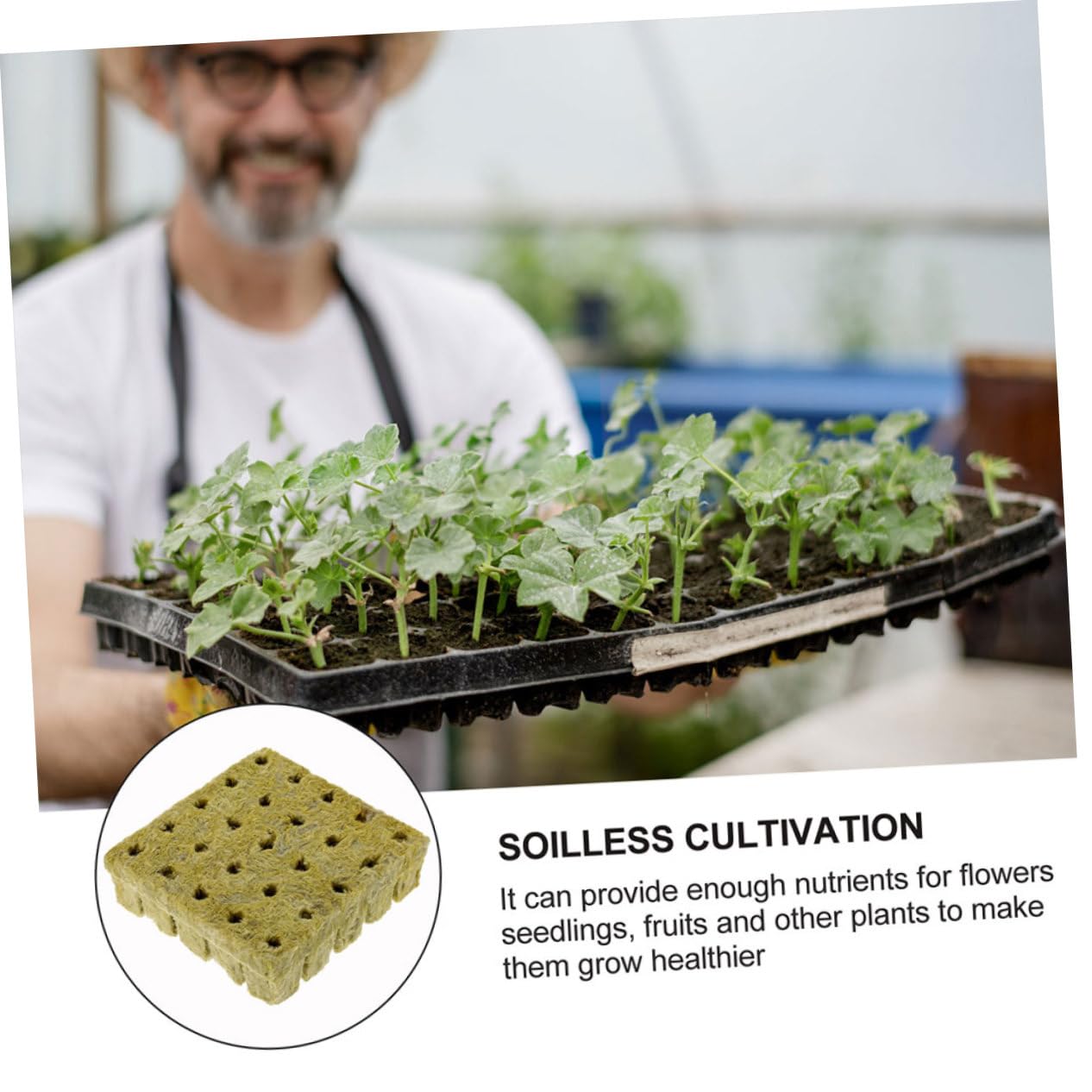 BESPORTBLE 200piezas Cubos De Cultivo Hidropónico Sin Suelo para Propagación De Plantas Bloques De Iniciación De Jardinería Bloques De Cultivo Buena Transpiración y Nutrientes