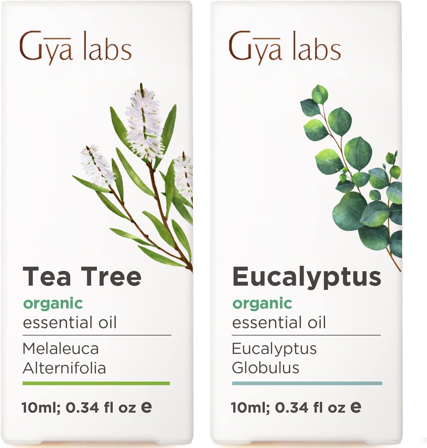 Tea Tree Oil for Skin & Eucalyptus Oil for Diffuser Set - Aromatherapy Grade Essential Oils Set - 2x10ml - Gya Labs