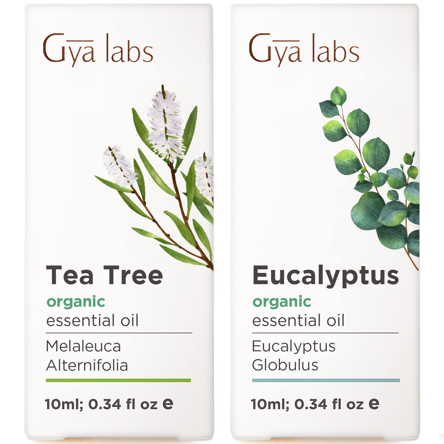 Tea Tree Oil for Skin & Eucalyptus Oil for Diffuser Set - Aromatherapy Grade Essential Oils Set - 2x10ml - Gya Labs