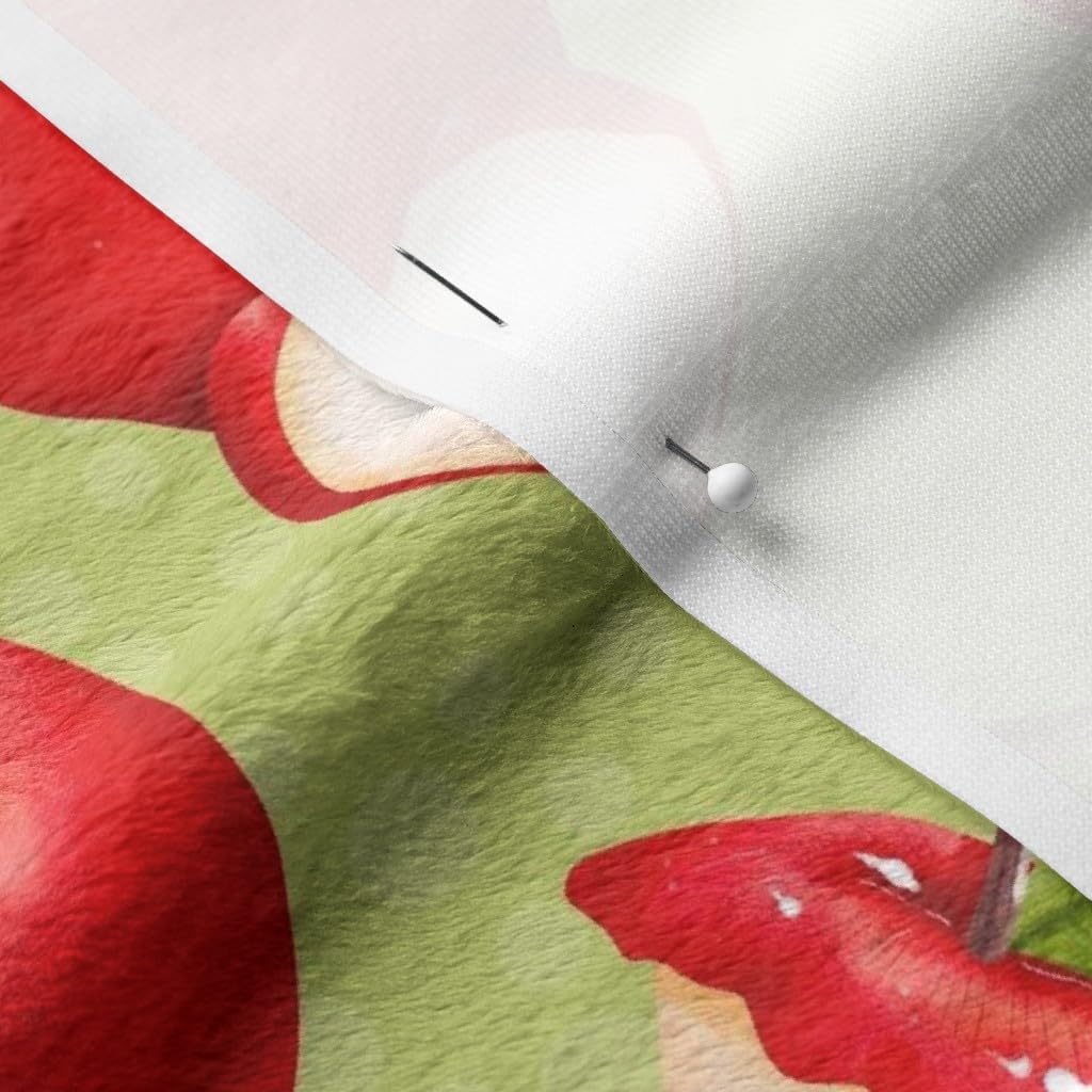 Spoonflower Fabric - Red Apples Green Farm Summer Fruit Teacher Kitchen Printed on Minky Fabric by The Yard - Sewing Baby Blankets Quilt Backing Plush