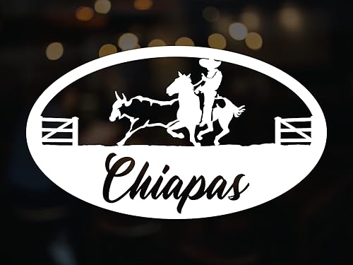 Vista 14 de Jalisco Stickers - Calcomanías de vinilo para carros Diseño Charro de México, Calcomanias para Trocas y Carros (12 x 7 pulgadas, Jalisco)