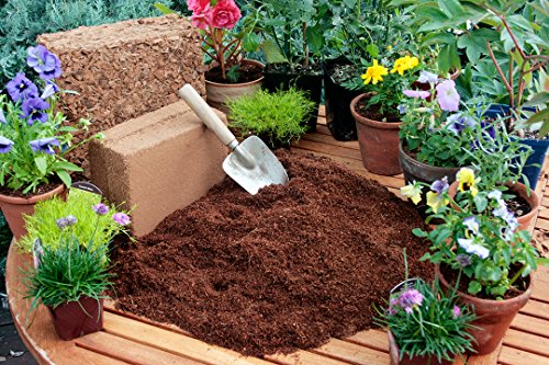 Super Moss (01131) HeirBloom Succulent Soil with Fertilizer, Small Bale (2.33 ft3) - Thumbnail 2
