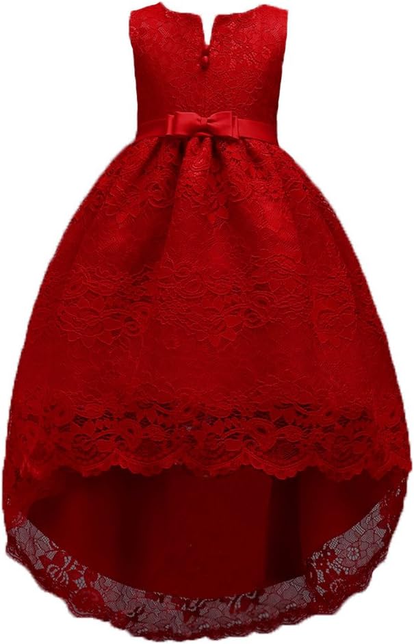 WEONEDREAMPrincess Girls Dress for Wedding Birthday Party with Train Size 3-14 Years