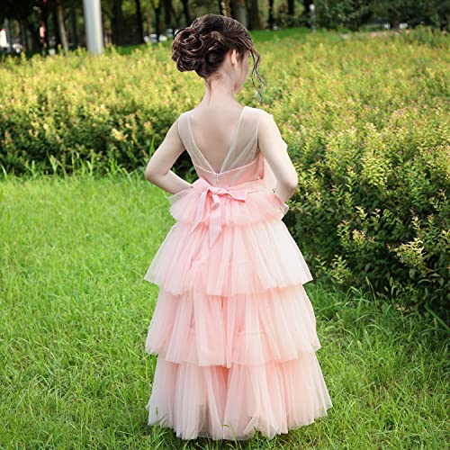Sunny Fashion Flower Girls Dress Pink Cake Skirt Pearl Diamond Heart Bodice Backless2