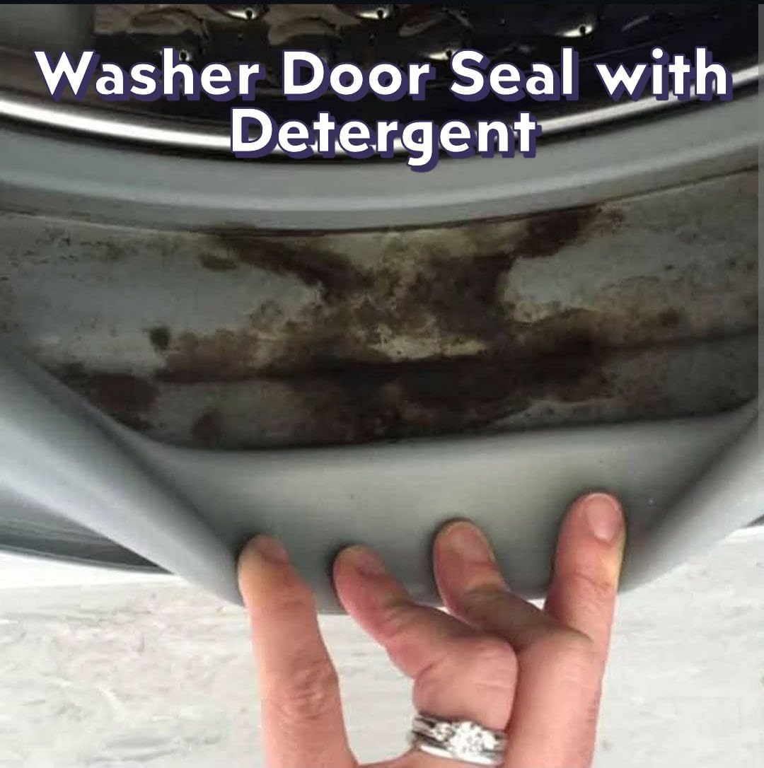 EcoWasher® Pro | Advanced Ozone Plus Ionization Laundry System | THOUSANDS SOLD |RAVING REVIEWS| Double Warranty |Hospital Grade| Awarded by Shark Tank Host | AS SEEN on Fox News | As SOLD on HSN