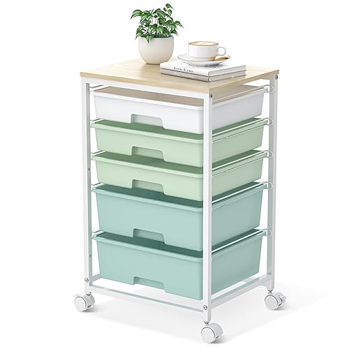Craft cart,Rolling Cart with Drawers,Storage Cart with 5 Drawers and