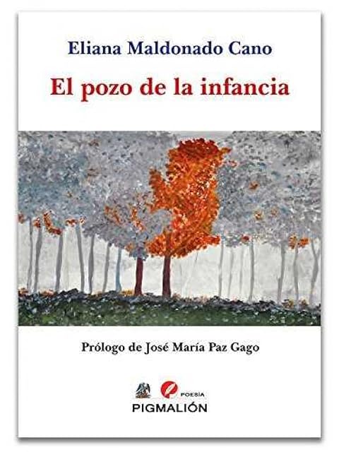 Portada de Pozo de la infancia el