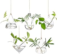 Glasseam 5-Pack Hanging Glass Terrariums: Modern Propagation Stations Hydroponic Wall Planters for Air Plants Succulents Indoor Decor