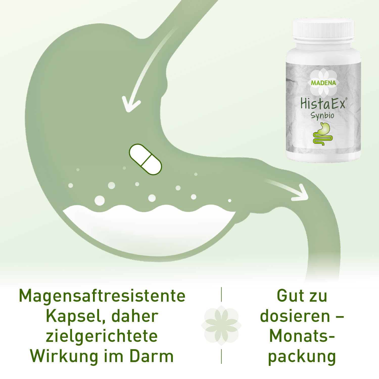 MADENA HistaEx Synbio – Milchsäurebakterien und Bifidobaktieren bei Histaminintoleranz und Fruktoseintoleranz – 60 Kapseln + 2 lösliche Ballaststoffe, Tagesdosierung von 20 Mrd. Keimen