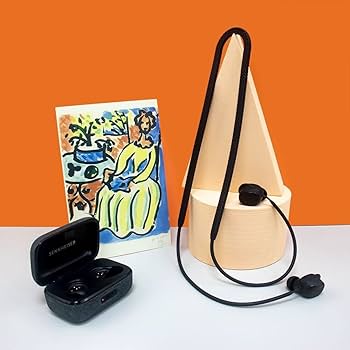 Amazon | Sennheiser MOMENTUM True Wireless 3 に適用 イヤホン