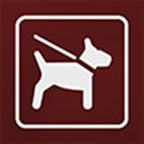 Disfruta de las diferentes categorías, con imagenes de perros totalmente gratis para ti, crear carteles desomotivadores y motivadores con los textos que desees, ademas podrás incluir en ellos imagenes de tu galería, de tu camara o usar las imagenes de la aplicación.