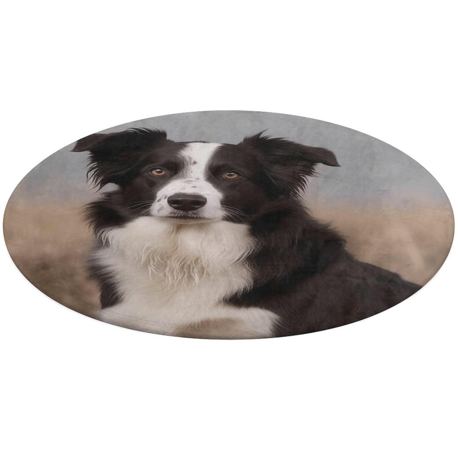 Alfombra de Border Collie lavable: el accesorio que enamorará a los amantes de perros