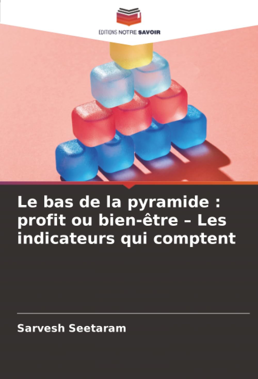 Le bas de la pyramide : profit ou bien-être – Les indicateurs qui comptent